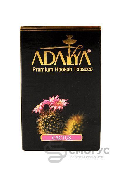 Купить табак для кальяна Adalya Cactus (Кактус) в Спб