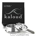 Kaloud Lotus