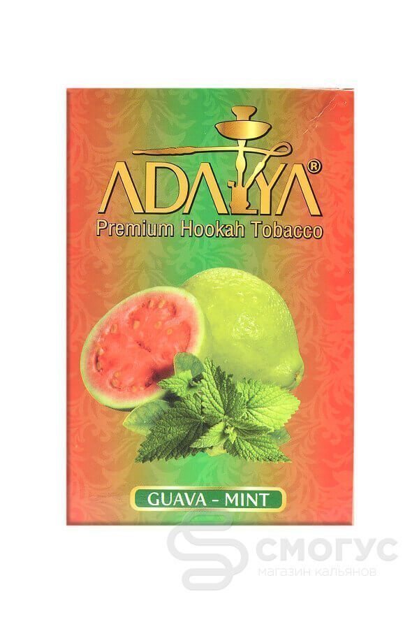 Купить табак для кальяна Adalya-Guava-mint-(Гуава-с-мятой) в СПБ