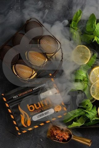Купить табак для кальяна Burn Lemon Mint в СПб