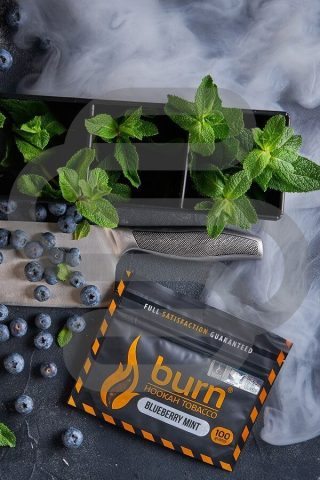 Купить табак для кальяна Burn Blueberry Mint в СПб