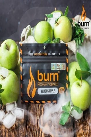 Купить табак для кальяна Burn - Famous Apple (Ледяное Яблоко) недорого в СПБ.