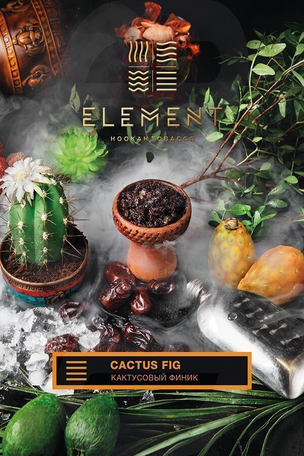 Купить табак для кальяна Element Земля Cactus Fig (Кактусовый финик) недорого в СПБ.