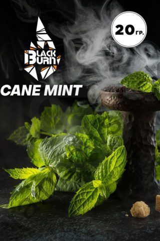 Купить табак для кальяна Black Burn Cane Mint в СПб - Смогус