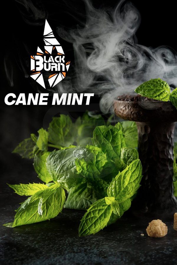 Купить табак для кальяна Black Burn Cane Mint в СПб - Смогус